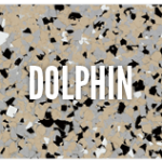 A close up of the word dolphin on top of a picture.