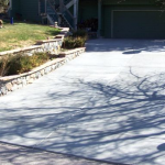 A driveway with trees and bushes in the background.