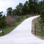 A road with trees and grass on both sides of it