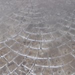 A close up of the pavement that is made to look like a spider web.