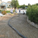 A group of people standing around a driveway.