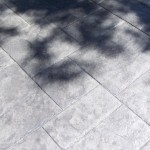 A close up of the shadow of a tree