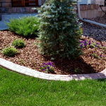 A flower bed with purple flowers and green plants.