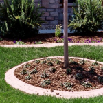 A tree in the middle of a garden.