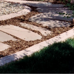 A close up of the ground with leaves on it