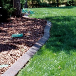 A garden with grass and trees in the background.