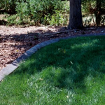 A lawn that has been cut and is in the grass.