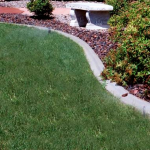 A garden with grass and bushes in the background.