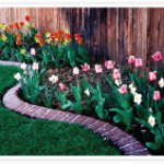 A garden with flowers and grass in the middle of it.