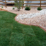 A lawn that has been trimmed and is in the middle of a garden.