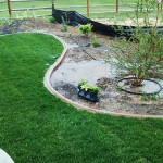 A garden with grass and plants in the middle of it.