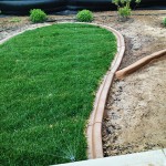 A garden with grass and dirt in the middle of it