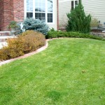 A lawn with grass and bushes in front of a house.